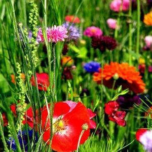 Meet your Posher, Libby